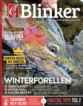 Blinker Magazin 