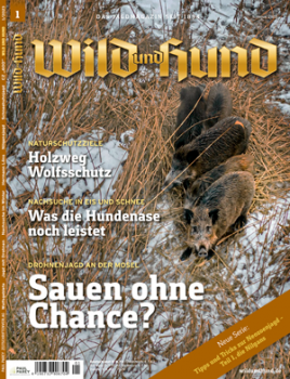 Wild und Hund Abo