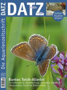 Datz Magazin Abo