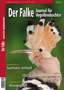 Der Falke Magazin Abo