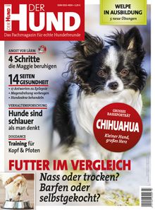 DerHund Abonnement