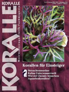 Koralle Magazin Abo